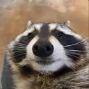 beepboop32