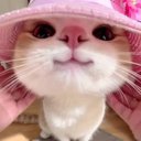 evaunicorn