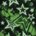clover_