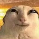 saggylemon