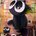 blackcat79
