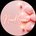 -NewMoon-