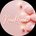 -NewMoon-