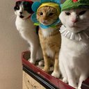 2bella3cat