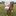 Cowlover21