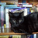 ezmacat