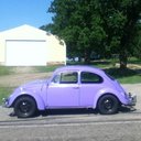 purplebug
