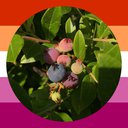bluberries
