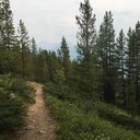sarah_98