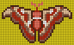 Alpha pattern #53381 variation #88164