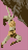 Alpha pattern #149893 variation #360060