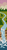 Alpha pattern #158277 variation #381797
