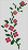 Alpha pattern #141092 variation #387047
