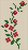 Alpha pattern #141092 variation #387048