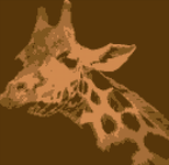 Alpha pattern #145028 variation #391883
