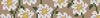 Alpha pattern #147485 variation #392845