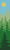 Alpha pattern #137067 variation #394041