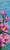 Alpha pattern #113946 variation #403475