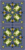 Alpha pattern #194670 variation #405495