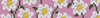 Alpha pattern #147485 variation #405773