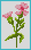 Alpha pattern #195474 variation #407694