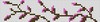 Alpha pattern #89694 variation #409838