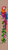Alpha pattern #146242 variation #410492