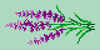 Alpha pattern #82554 variation #410645