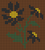 Alpha pattern #198930 variation #414903