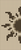 Alpha pattern #149379 variation #440483