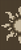 Alpha pattern #149379 variation #440484