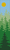Alpha pattern #137067 variation #442040