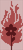 Alpha pattern #162268 variation #454240