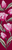 Alpha pattern #131093 variation #455353
