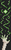 Alpha pattern #209939 variation #455823