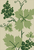 Alpha pattern #196357 variation #460007