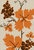 Alpha pattern #196357 variation #460243