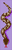 Alpha pattern #156775 variation #461150